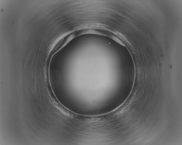 X0000073760846200608171354