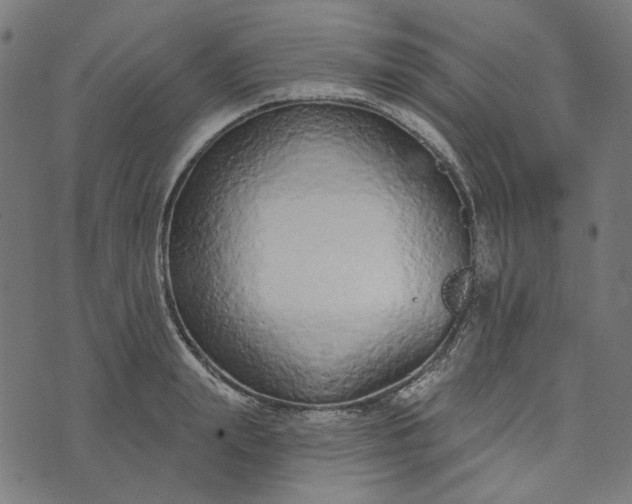 X0000073760847200608171354