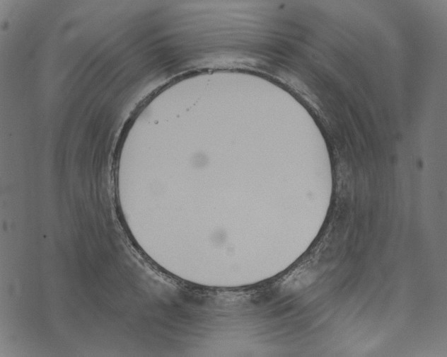 X0000073760848200608171354