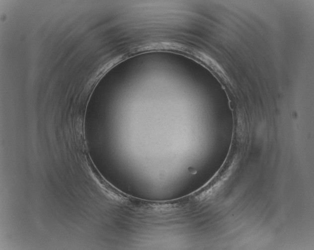 X0000073760849200608171354