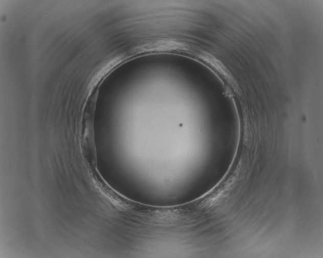 X0000073760850200608171354