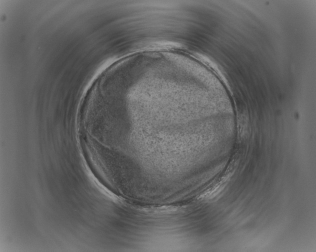 X0000073760851200608171354