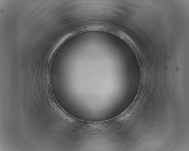 X0000073760852200608171354