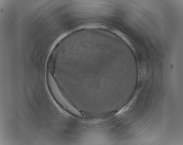 X0000073760853200608171354