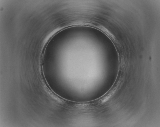 X0000073760854200608171354