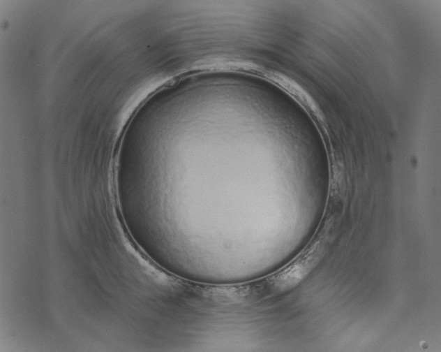 X0000073760855200608171354