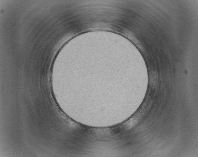 X0000073760856200608171354