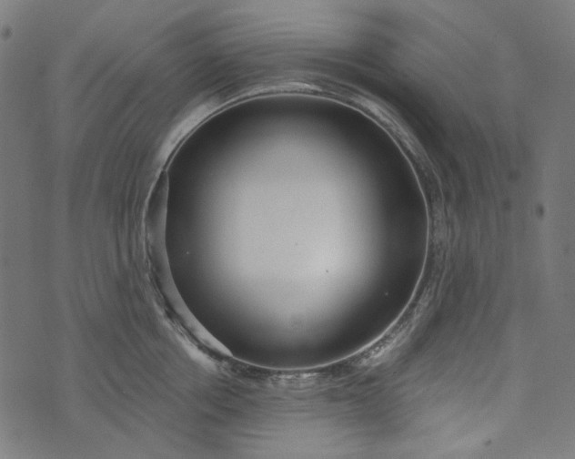 X0000073760858200608171355