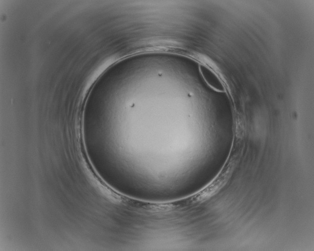 X0000073760859200608171355