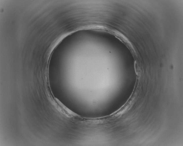 X0000073760860200608171355