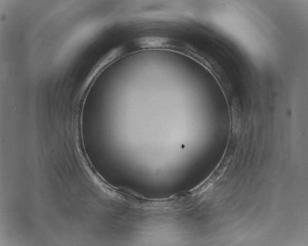 X0000073760861200608171355