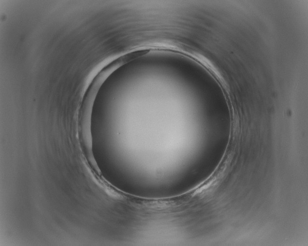 X0000073760862200608171355