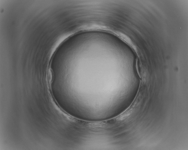 X0000073760863200608171355