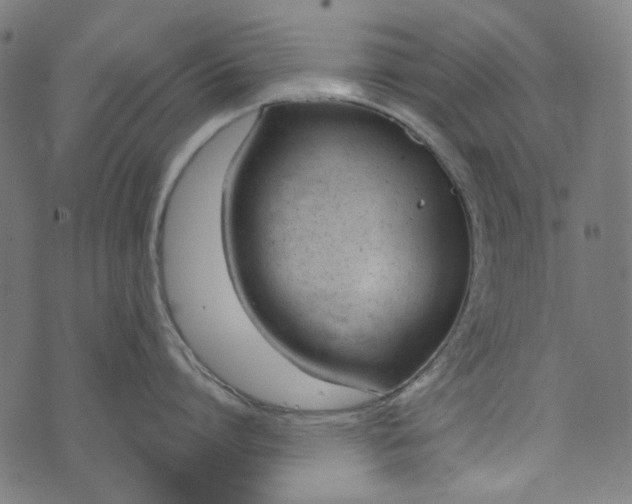 X0000073760864200608171355