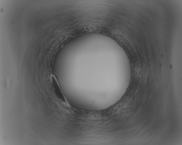 X0000073760865200608171354