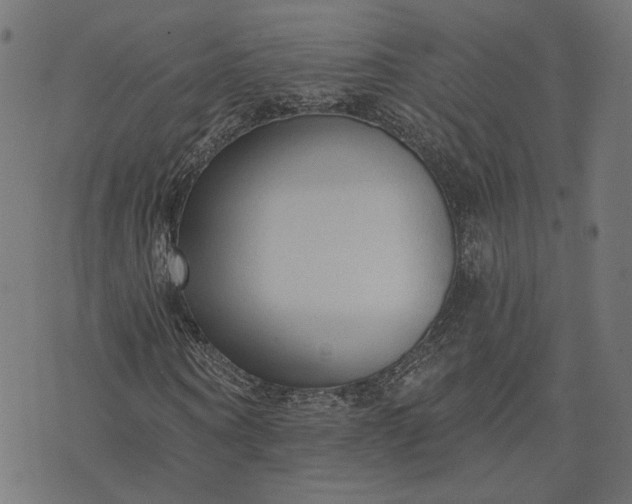 X0000073760866200608171354