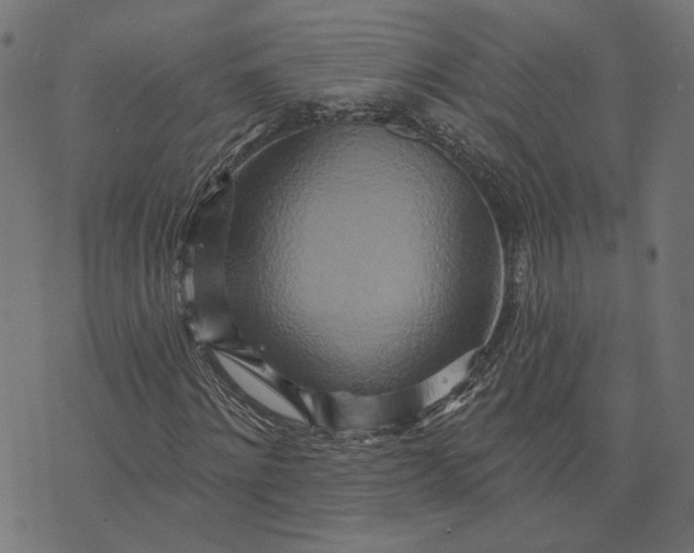 X0000073760868200608171354