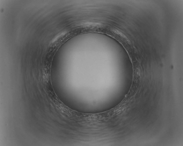 X0000073760869200608171354