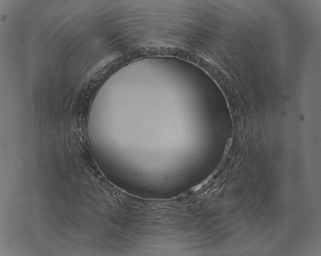 X0000073760870200608171354