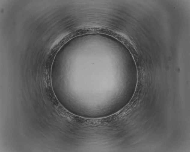 X0000073760871200608171354