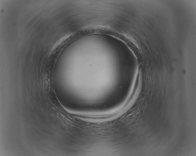 X0000073760872200608171354