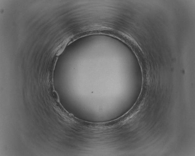 X0000073760873200608171354