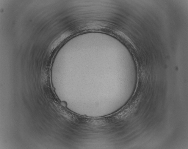 X0000073760874200608171354