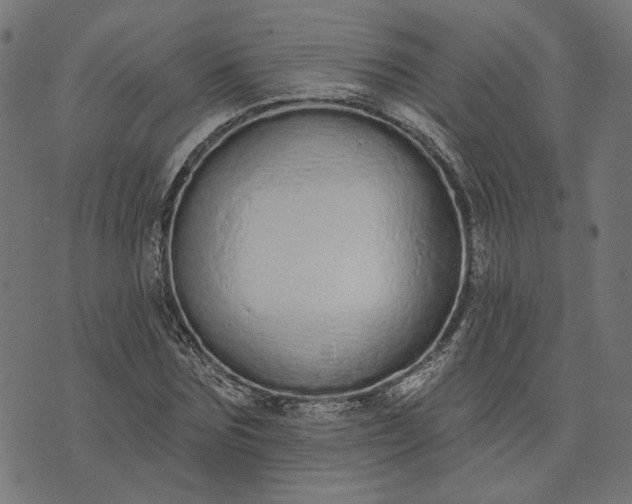 X0000073760875200608171354