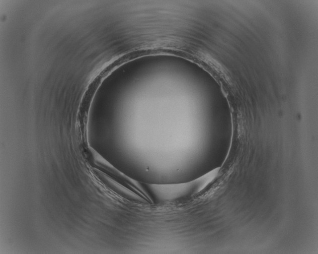 X0000073760876200608171354