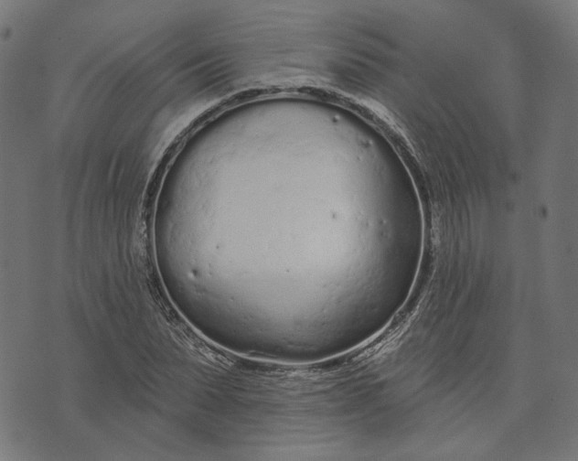 X0000073760879200608171354