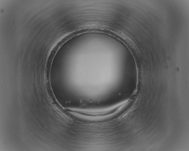 X0000073760880200608171354