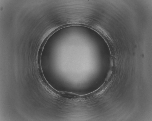 X0000073760884200608171354