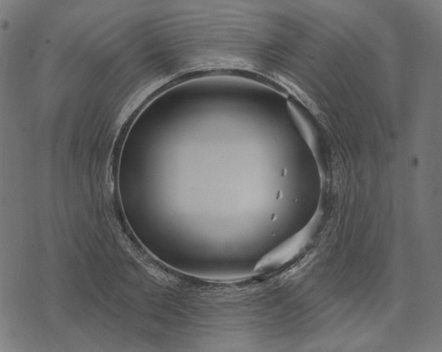 X0000073760885200608171354