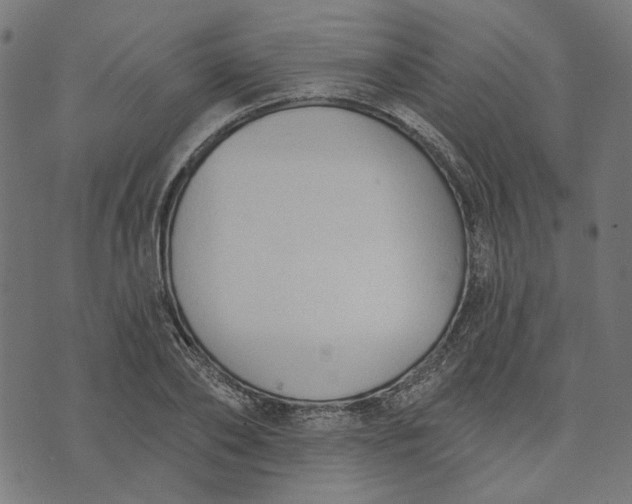 X0000073760886200608171353