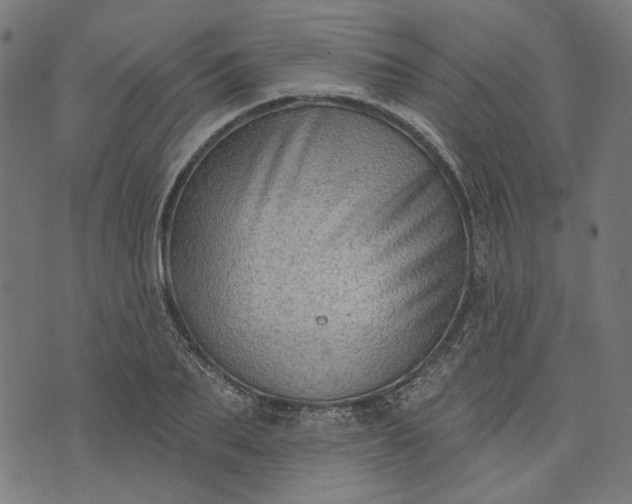 X0000073760887200608171353