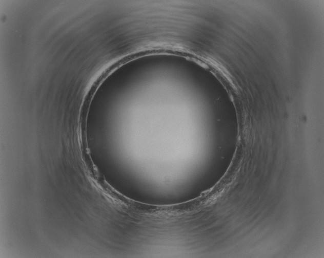 X0000073760888200608171353