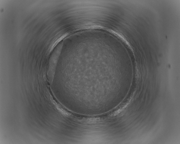 X0000073760889200608171353