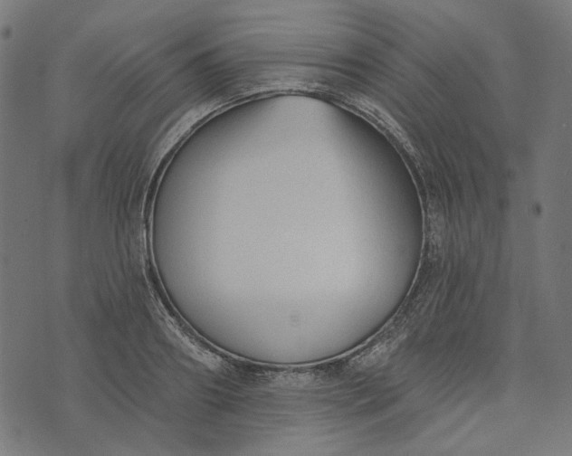 X0000073760890200608171353