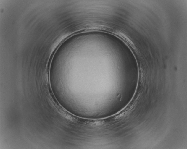 X0000073760891200608171353