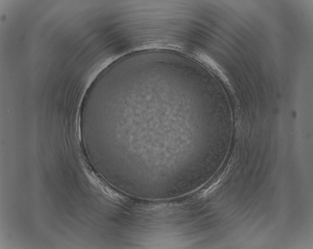 X0000073760892200608171353