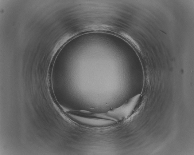 X0000073760893200608171353