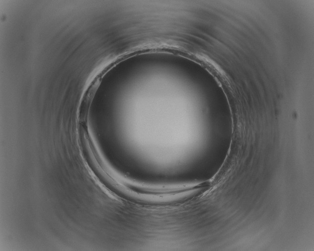 X0000073760894200608171353