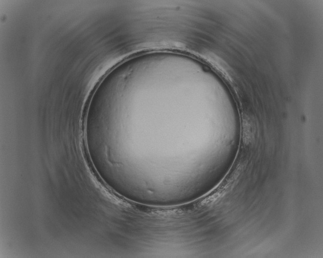 X0000073760895200608171353