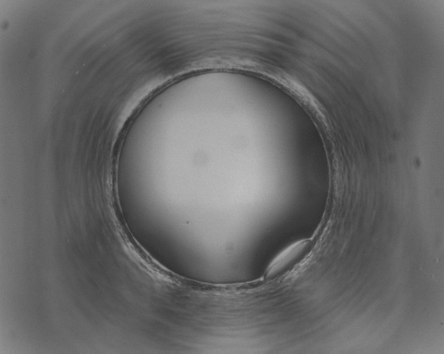 X0000073760896200608171353