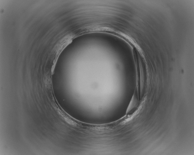 X0000073760897200608171353