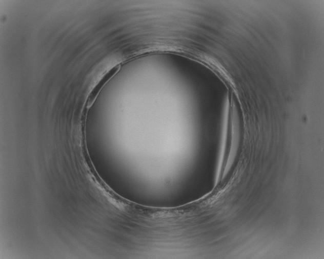 X0000073760898200608171353