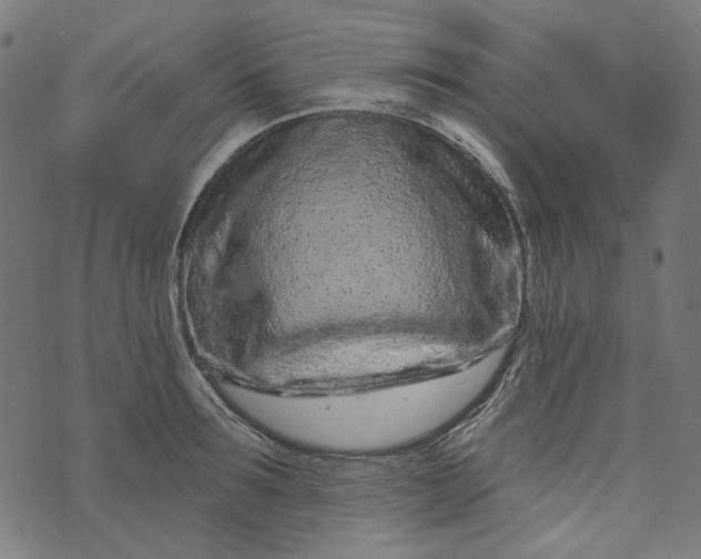 X0000073760899200608171353