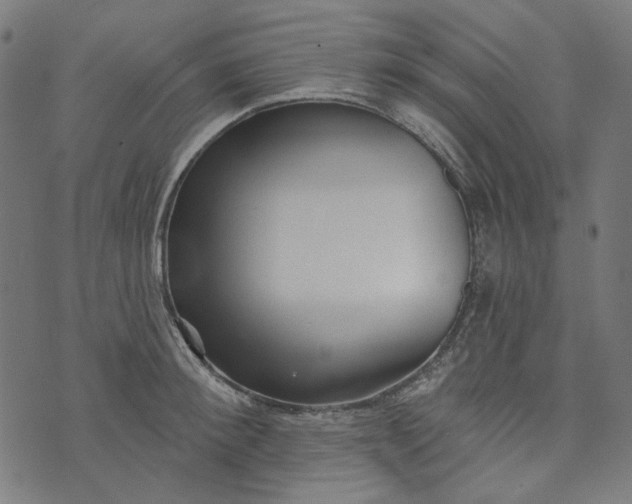 X0000073760900200608171353