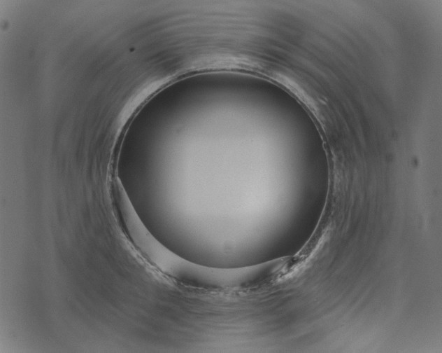 X0000073760901200608171353