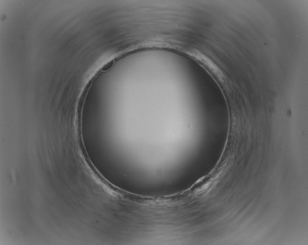 X0000073760902200608171353